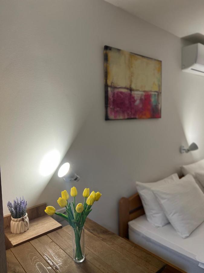 Villa Klara Nowy Sad Zewnętrze zdjęcie