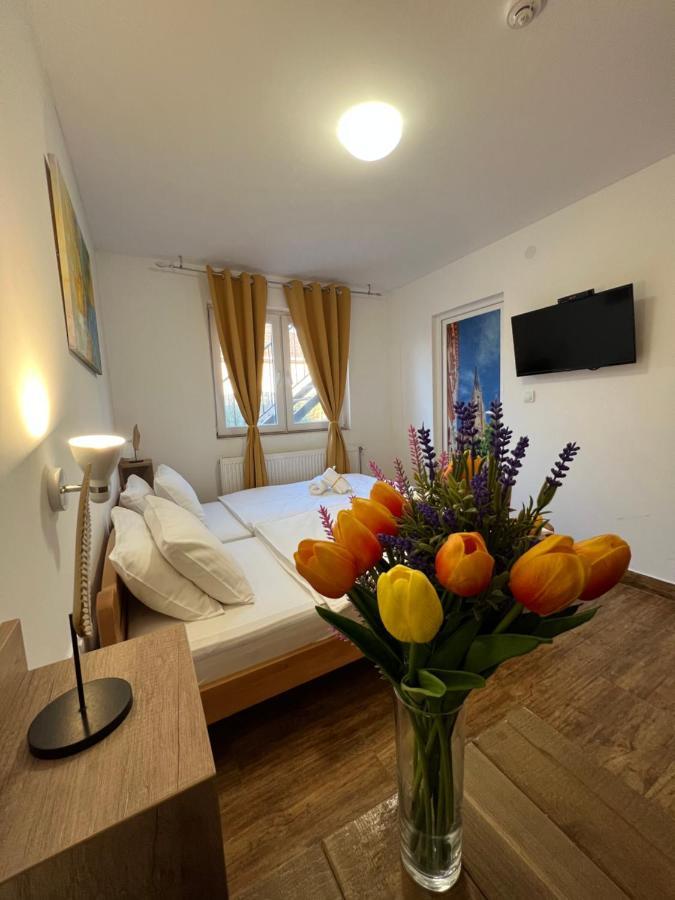Villa Klara Nowy Sad Zewnętrze zdjęcie