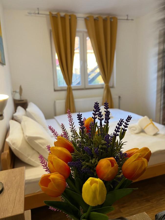 Villa Klara Nowy Sad Zewnętrze zdjęcie