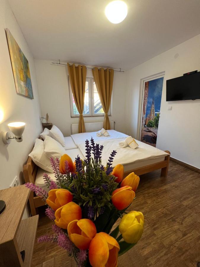 Villa Klara Nowy Sad Zewnętrze zdjęcie